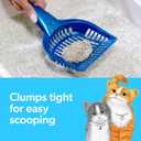 Fresh Step Clumping Cat Litter, Multi-Cat, Long Lasting Odor Control Kitty Litter with Activated Charcoal, Low Dust Formula, 14 lb