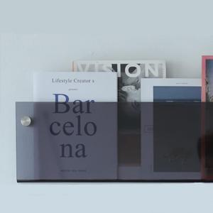 ROYALITA 2-Pack Acrylic Magazine Holder Brochure Holder, 24" Record Holder Magazine Rack, Fashion Hanging Bookshelf Literature Storage Rack for Waiting Room, Living Room, Office, Gray, 24 Inch (Grey)