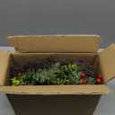 24 Inch Outdoor Christmas Wreath with Red Bow & Storage Bag  Red Berry, Apple & Pine Winter Wreaths for Front Door  Perfect Easy Storage for Year-Round Use