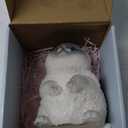 Big Taba Squishy Cat, Handmade Large Cat Taba Toys, Stress Relief, Funny, Cute Soft Cat Squishy Stress Toy Gifts.(Medium Siamese Cat)