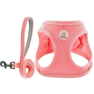 Hipubby Dog Harness and Leash Set, No Pull Soft Mesh Puppy Harness for Small Medium Dogs, Cats - Step in Reflective Breathable Lightweight Vest Harness for Walking, Training - Pink, XS (XS (Chest: 12.5"-14"))