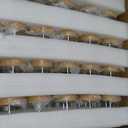 Norme 120 Pcs 4oz Glass Jars with Lids
