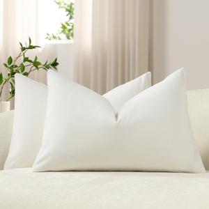 DEZENE Lumbar Pillow Covers 12x20 Ivory White: Pack of 2 Cozy Soft Velvet Rectangular Modern Luxury Decorative Throw Pillow Cases for Sofa Couch Living Room Bed Home Decor (Cloud Danser)