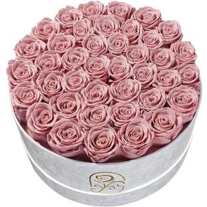 Gifts for Women Preserved Roses Flower Box, Luxury Velvet Box with 40 Roses, Preserved Flowers, Romantic Gift for Her, Wife, Girlfriend, Birthday Anniversary Christmas (Dusty Pink)