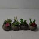 Succulents Plants Artificial 4 Pack, Mini Fake Succulents in Pots, Assorted Small Faux Succulent Decorative for Living Room Home Office Decor (Type2)