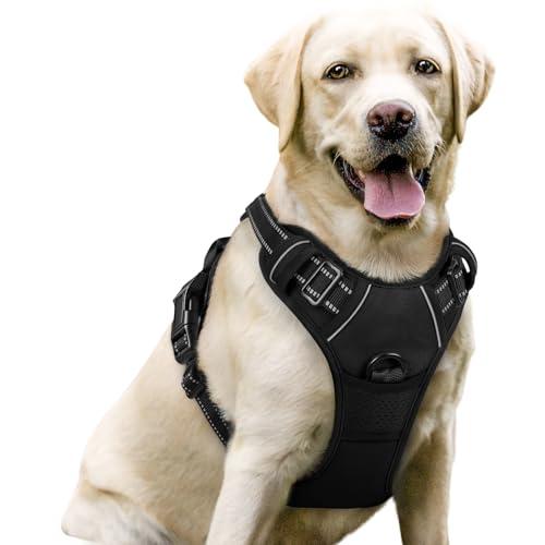 rabbitgoo Dog Harness No Pull with 2 Leash Clips, Adjustable Soft Padded, Reflective Oxford No Choke Pet Vest with Easy Control Handle for Large Dogs, Black, L