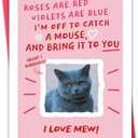 3 x Funny Cat Valentines Day Card - Roses Are Red Cat Card for Pet Owners (BT-158)