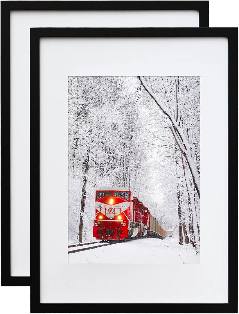 Egofine A2 Picture Frames Set of 2 Matted for A3 - Solid Wood Acrylic Plexiglass Front for Wall Mounting Hanging Vertically or Horizontally, Black - 16.5 x 23.4 in