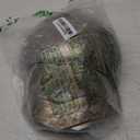 Medieval Pauldron Set Pair Plate Armor Carbon Steel Real Adult Size