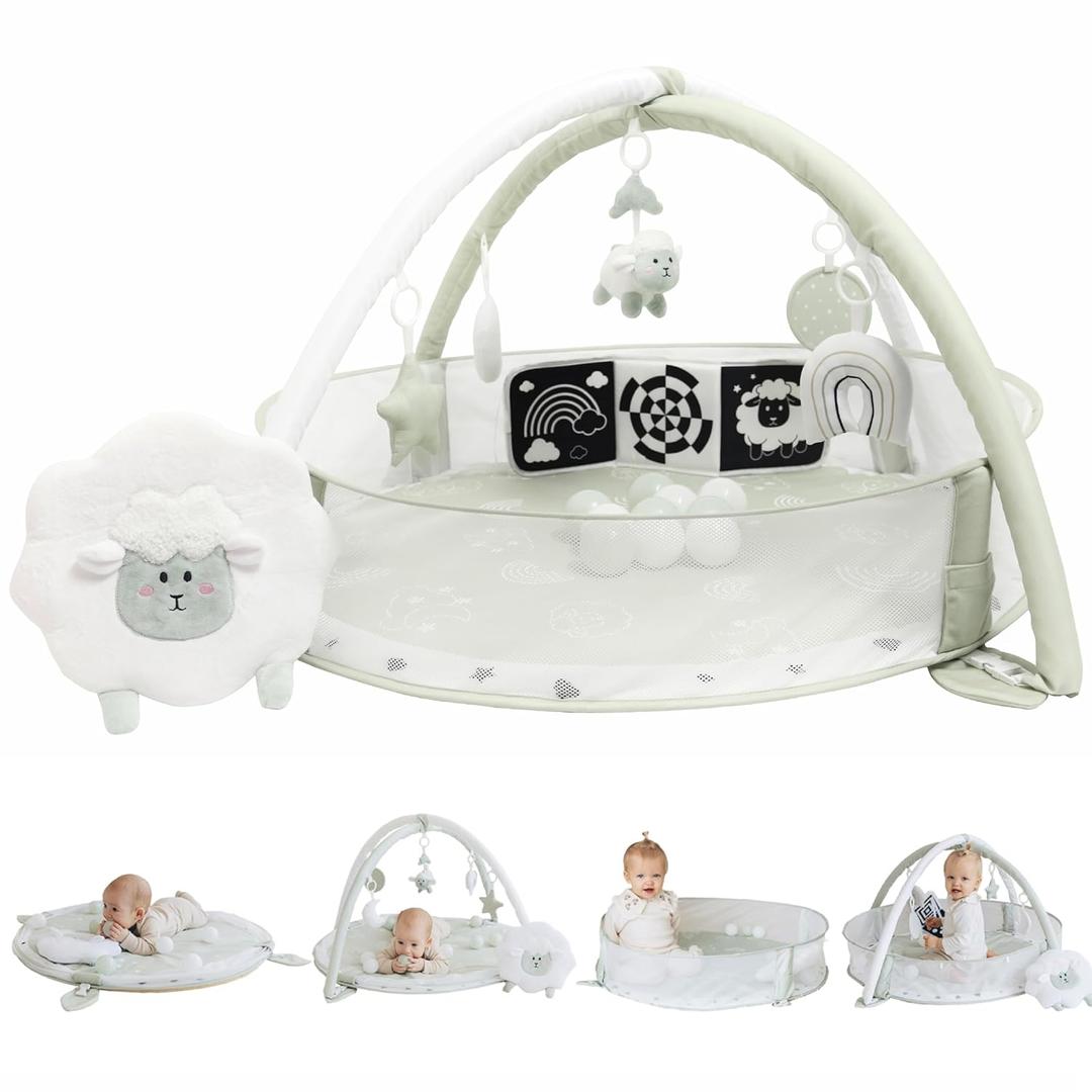 6-in-1 XL Play Mat & Play Gym, Baby Gym, Baby Activity Gym, Sensory Exploration and Motor Skill Development Toys (Sage) 6-in-1 XL Play Mat & Play Gym, Baby Gym, Baby Activity Gym, Sensory Exploration and Motor Skill Development Toys (Sage)