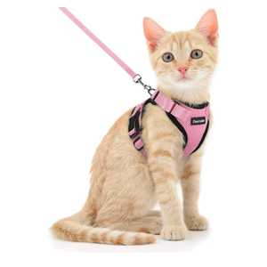 Dooradar Cat Harness and Leash Set, Escape Proof Safe Adjustable Kitten Vest Harnesses for Walking, Easy Control Soft Breathable Mesh Jacket with Reflective Strips for Cats, Pink, XS