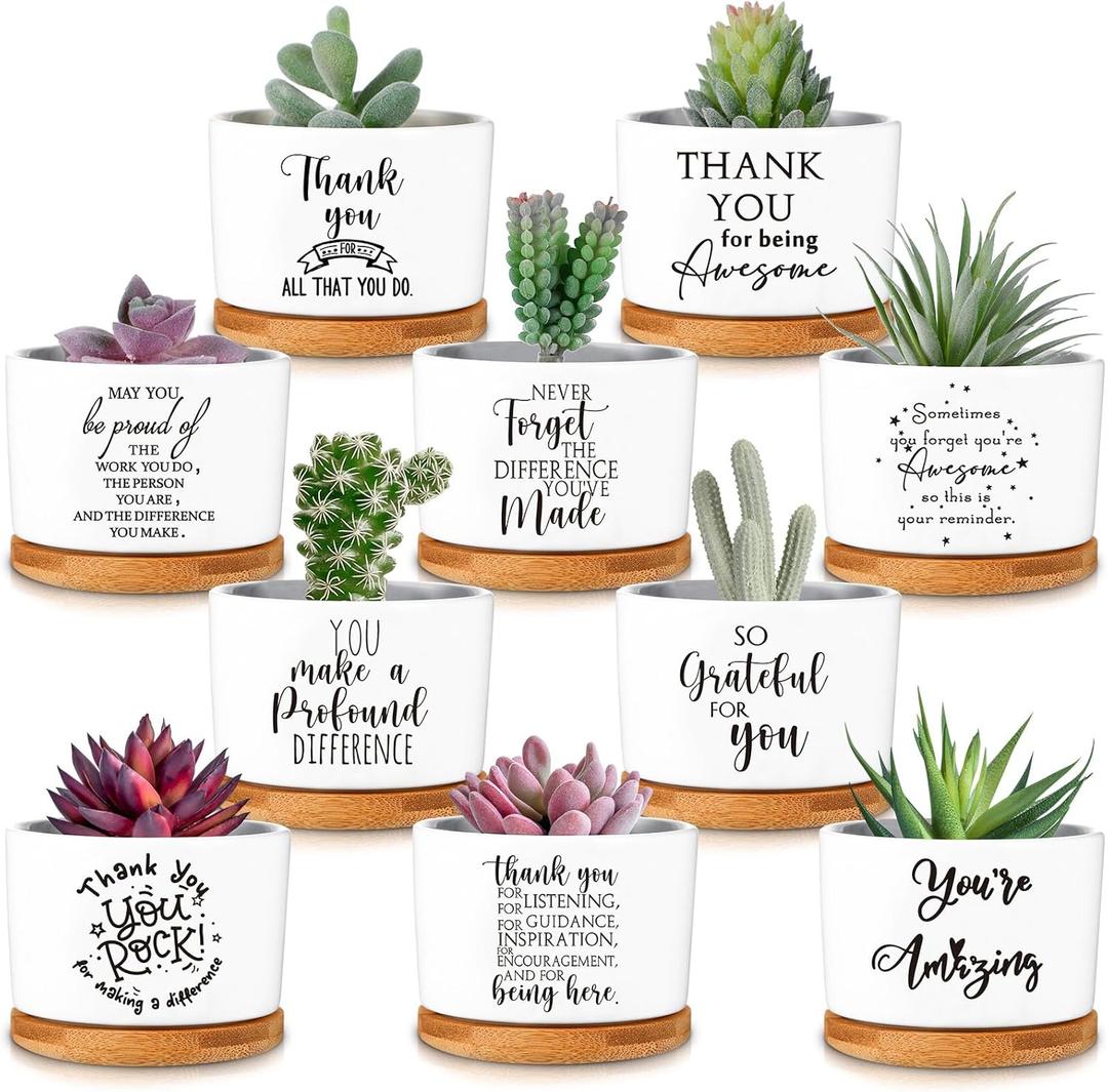 Yaomiao 20 Pcs Thank You Employee Appreciation Plant Bulk Gifts Succulent Gifts for Women Ceramic Pot Small Succulent Flower Pots with Bamboo Tray for Coworkers