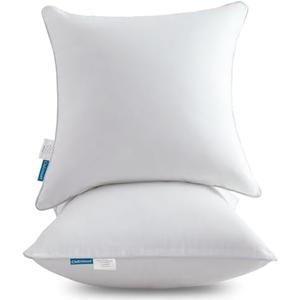 Oubonun 20 x 20 Throw Pillow Insert (1 pc) with 100% Cotton Cover - 20 Inch Square Interior Decorative Sofa Pillow Insert Pair - White Couch Pillow