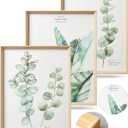 Framed Wall Art,Minimalist Botanical Canvas Wall Art for Living Room,12x16in Plant Wood High-Framed Design Flower Green Eucalyptus Leaf Artworks Prints Poster for Bathroom,Bedroom Set of 3