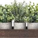 Dahey 3 Pack Mini Potted Artificial Eucalyptus Fake Plants with Wood Tray Centerpiece Table Decorations, Farmhouse Pulp Flower Pots Greenery Home Decor for Coffee Table Dining Room Office Kitchen