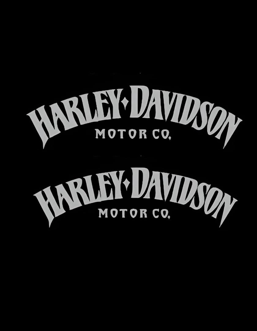 Motorcycle Classic Logo Harley Design Vinyl Decal #2 (Right and Left) Piece Moto HD Club 2.5"x8" (Chrome) (Silver)