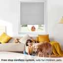 ChrisDowa Cordless Free-Stop 100% Blackout Blinds for Windows, Roller Windows Shades with Thermal Insulated, UV Protection Fabric for Living Room, Office and Home.Grey, 29" W X 72" H