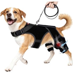 Dog Knee Brace for Torn ACL/CCL Hind Leg,Adjustable Hip Brace-Hip Dysplasia Brace-Wound Care-Reduces Pain and Inflammation-Lick Prevention (M)