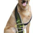 Dog Front Leg Brace, Provides Elbow & Shoulder Support, Helps with Osteoarthritis, Hygroma & Calluses, Prevents Licking with Reflective Material, Right Leg, Size XL (Black, XL)