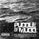 Icon: Puddle of Mudd Explicit Lyrics Audio CD