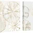 2 Pieces Coastal Wall Art Sea Shell Sand Dollar Painting Modern Abstract Gold and Neutral Wall Decor Ocean Theme Artwork for Bedroom Living Room Ready to Hang 20x20Inchx2pcs