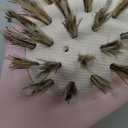 Boar Bristle Hair Brush -boar bristles + nylon pins Smoothes & Detangles All Hair Types, Hairbrush for Women, Men & Kids, Distributes Oils for Natural Shine & Stimulates Scalp (Light Pink)