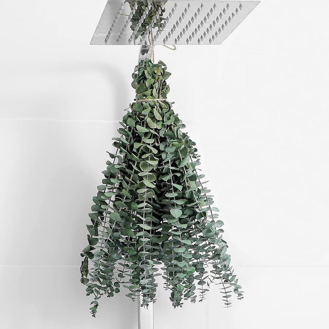 12 Pcs Eucalyptus for Shower Hanging 17" Real Eucalyptus Stems 100% Made from Fresh Leaves , Used for Wedding Decor Home Decor Farmhouse Decor. Dried Flowers