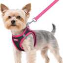 rabbitgoo Dog Harness Small Sized and Leash Set, Step-in Breathable Pet Harness, Soft Walking Reflective Puppy Vest for Small Dogs, Black & Rose Red, XS