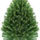 4ft Full PVC Small Artificial Christmas Fir Tree 488 Branch Tips Suitable for Christmas Decoration Matel Stand Included