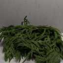 Real Touch Deluxe Norfolk Pine Garland Christmas Garland for Mantle Garland