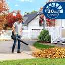 DEXSO Clearance Cordless Leaf Blower - 650 CFM / 200 MPH 2 Speed 21 V Lithium-ion 4.0Ah Battery and Charger Included, Lightweight Electric Leaf Blowers for Lawn, Yard Care, Leaves, Dust