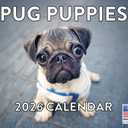 Pug Calendar 2026 Wall Puppies Monthly Pugs Gifts For Pug Lovers For Women Men Children | American Made In The USA