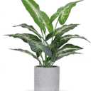 16" Small Fake Plants Artificial Tropical Faux Plants Indoor for Office Desk Shelf Bathroom Home Decor