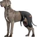 Dog Hip Brace with Hot/Cold Compress, Support for Hip Dysplasia, Arthritis, Back Leg limping, Prevents Hip Joint Issues, Reduce Hip Pain etc(Female Dog, XXL) (Extra Extra Large)