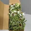 Daifunli 6 Bundles Artificial Silk Daisy Flower 17.7 Inch White Fake Daisies Decoration Faux Wildflowers Greenery Plant Stem Filler for Wedding Table Centerpiece Home Garden Porch Patio Decoration
