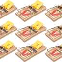 Victor M205-9 Easy Set Plastic Pedal Sustainably Sourced FSC Wood Humane Snap Rat Trap - 9 Wooden Traps