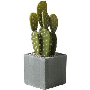 Cactus Artificial Plants in Gray Pots, Realistic Faux Cactus Potted Dcor for Home, Office, Kitchen, Living Room, Desk, Shelf, and Indoor Decoration (Oblate) (Grey Green-br09)
