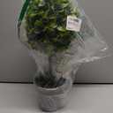Elements Artificial Boxwood Topiary, 17 Inch (Multicolored)