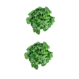 Faux Leaves Garland Small Fake Plants for Green Leaf Decor Home