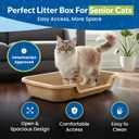 KittyGoHere Senior Cat Litter Box 1 Pack, Large Beach Sand Low Entrance Kitty Litter Box, Sized for Cats Comfort, Perfect for Senior and Arthritic Cats, Made in USA