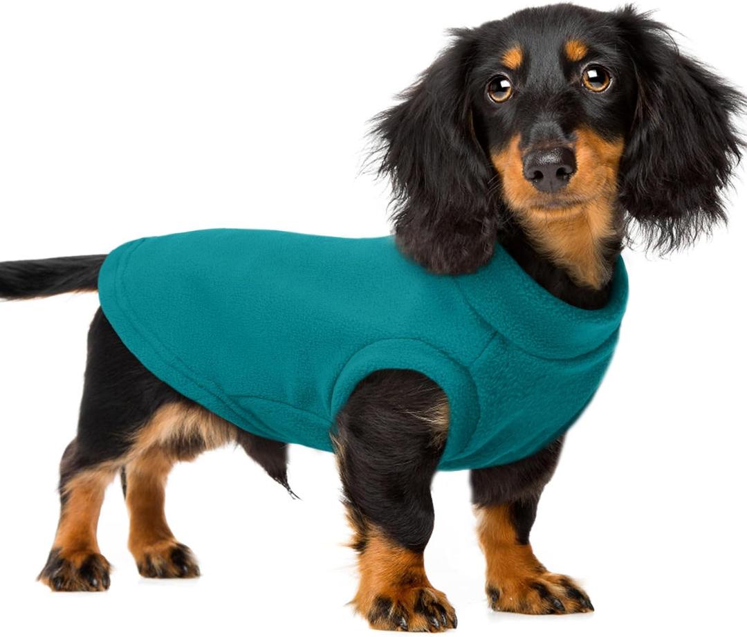 PUMYPOREITY Fleece Sphynx Cat Clothes, Warm Thick Cat Sweater, Soft Winter Coat for Hairless Cats, Cold Weather Pet Sweater for Dogs and Cats, Blue, 2XL (XX-Large)