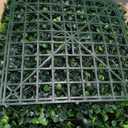 Artificial Grass Wall Panel Screen: 10"x10" 24P (16.8 sqft) UV-Anti Faux Boxwood Panels for Indoor Outdoor Green Wall Decor, Privacy Fence, Patio, Balcony, Party Backdrop