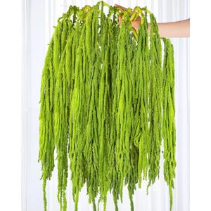 15Pcs Neon Green Preserved Hanging Amaranthus Flowers - 23" Cascading Dried Flower Tassels for Wedding Arch, Backdrop Installations, Vase Arrangements & Home Decor