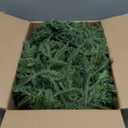 Prelit Christmas Garland 9ft with 50 LED Lights, Battery Opreated Christmas Decor Timer for Mantle Staircase Indoor and Outdoor Prelight Xmas Garland