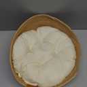 Friends of Normie Wicker Cat Bed