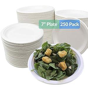 Reli. Compostable Paper Plates 7 Inch (250 Pack Bulk) | White Disposable Plates 7" | Heavy Duty Paper Eco Friendly | Made of Sugarcane Fibers/Bagasse - Biodegradable/Compostable| Small