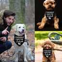 5 x Pregnancy Announcement Dog Bandanas Our Humans are Getting Us A Baby I Thought I was The Baby Dog Bandana Adjustable Triangle Double Layer Reversible Pet Scarves for Small Medium Large Dogs, 2 Pack