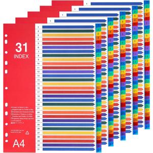 1-31 Tab Dividers, Plastic Binder Dividers for 2/3/4 Ring Binder, Customizable Table of Contents, Multicolor Number 1-31 Tabs, 5 Sets/ A4 Size