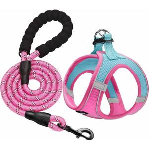 haapaw Dog Harness with Leash Set, No Pull Adjustable Reflective Step-in Puppy Harness with Thickened Padded Vest for Extra-Small/Small Medium Dogs (Blue / Pink)
