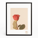 Black Frame 11.5"×14.5"